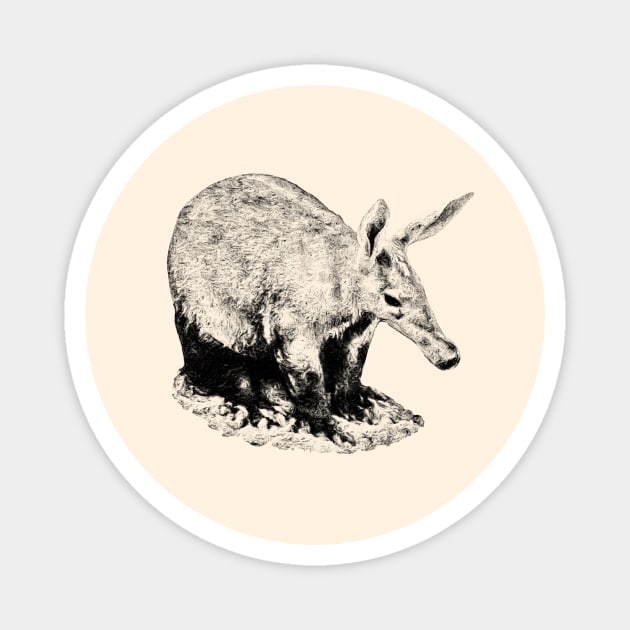 Aardvark Magnet by Guardi